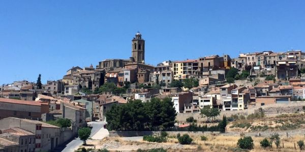Compres a domicili a Cervera